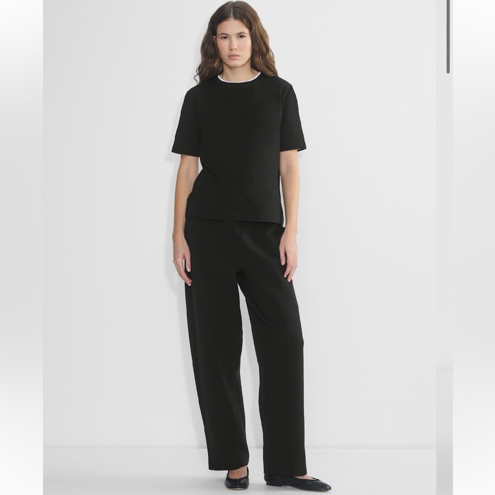 Aritzia Babaton Viceroy Pant
